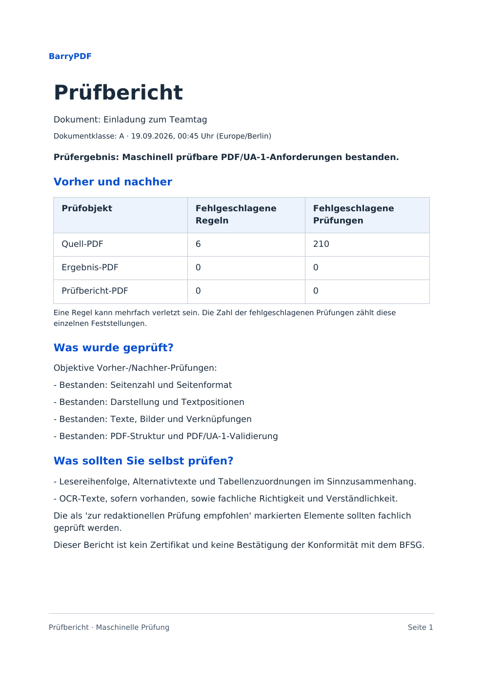 Prüfbericht: Seite 1 des synthetischen Teamtag-Beispiels